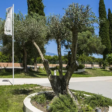 Cypress Garden Hotel 3*