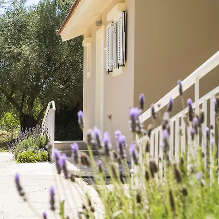 Hotel Cypress Garden Mousata