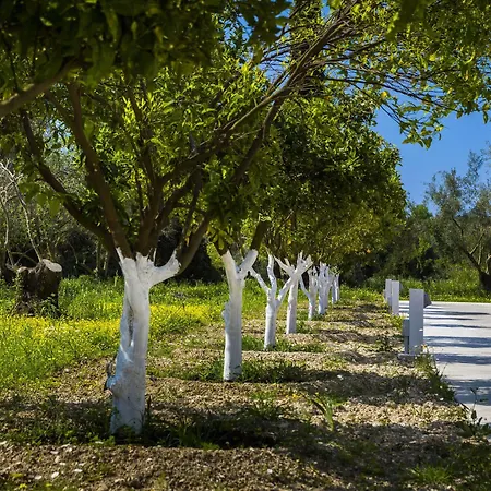 Cypress Garden מלון