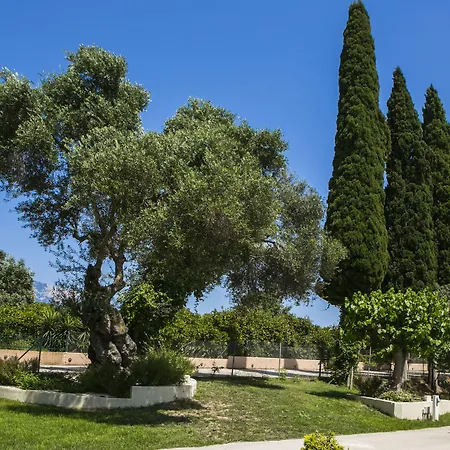 Cypress Garden