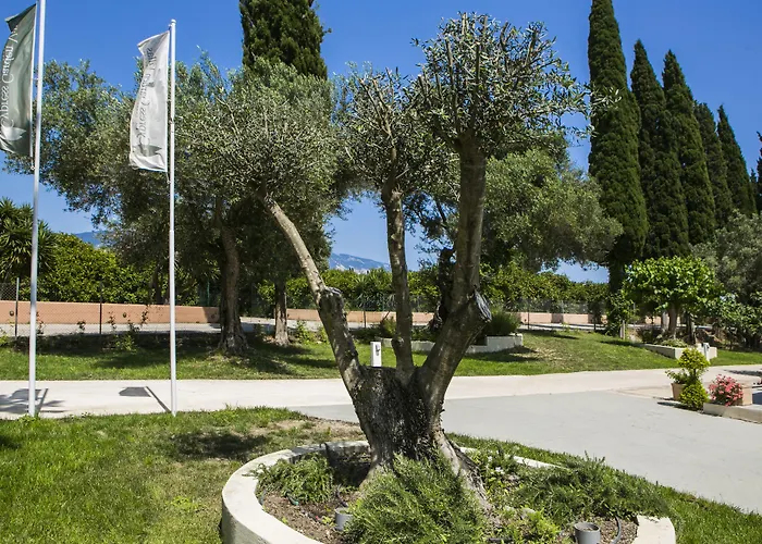 Cypress Garden Hotel 3*
