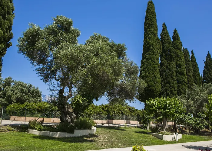 Hotel Cypress Garden 3*